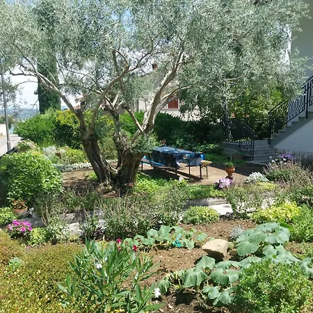 Apartman Apartma Bernardka *